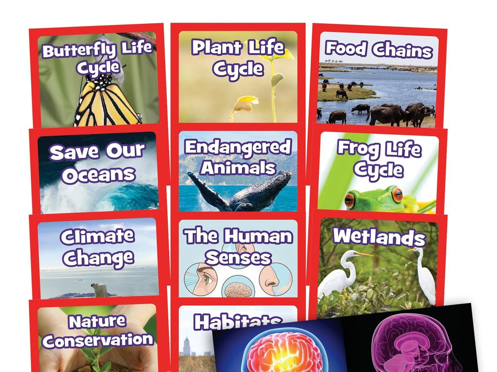 educational life cycle cards