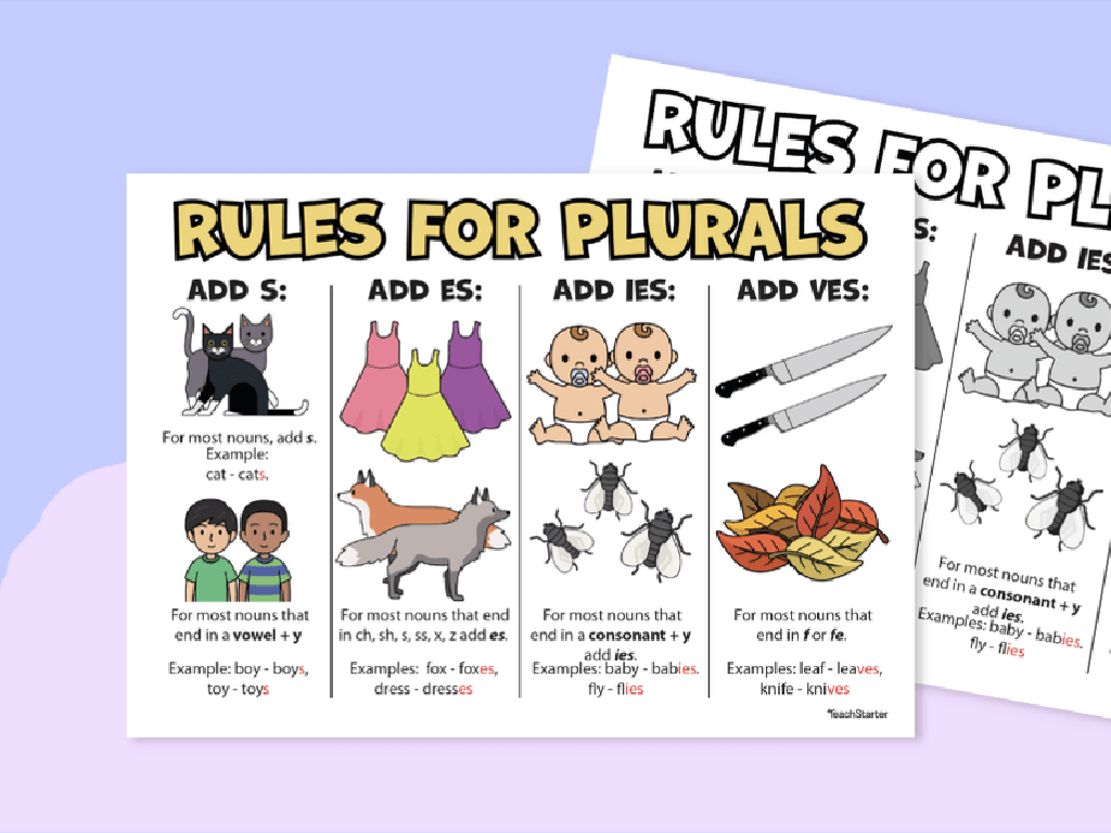 plural rules guide