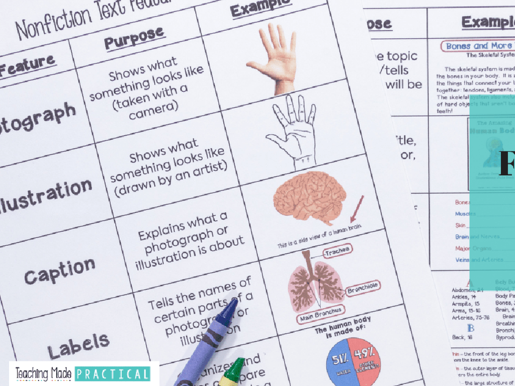 nonfiction text features chart