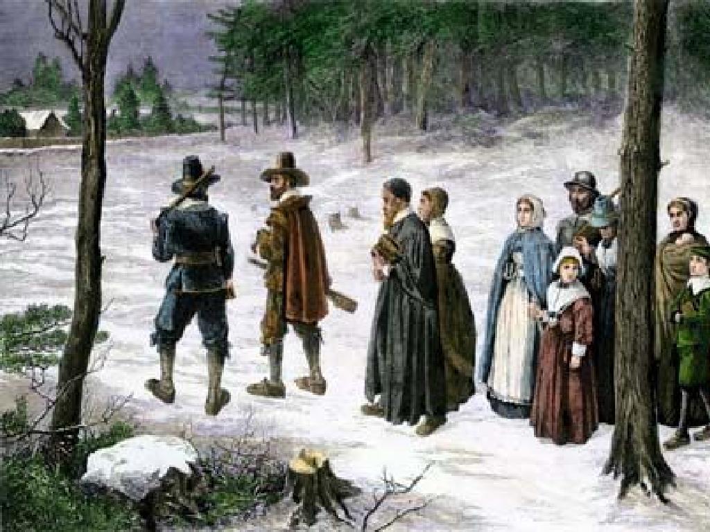 snowy forest pilgrims