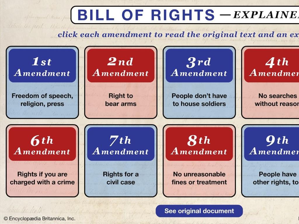 bill rights chart