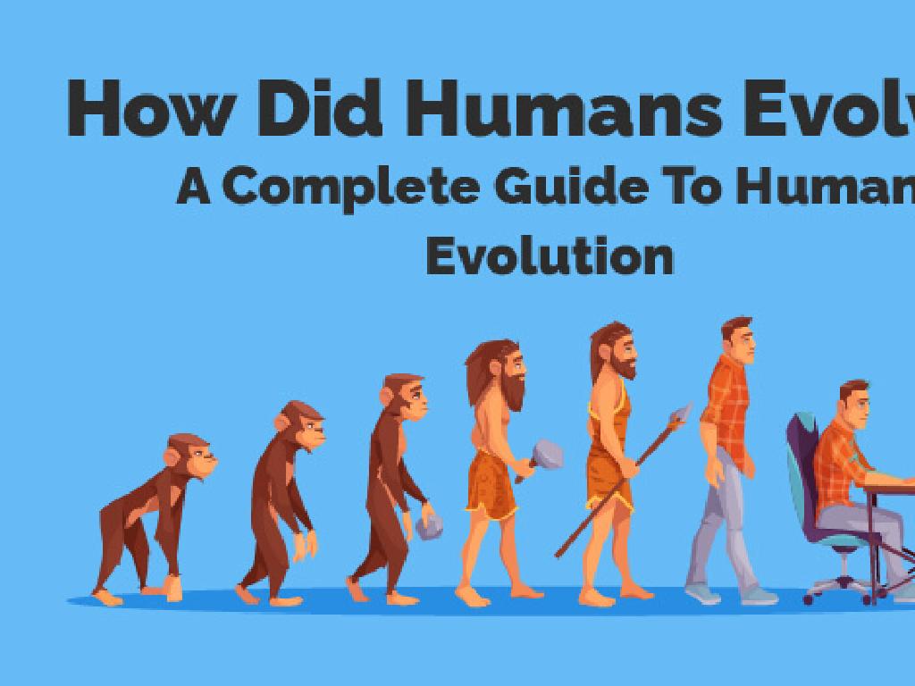 human evolution stages