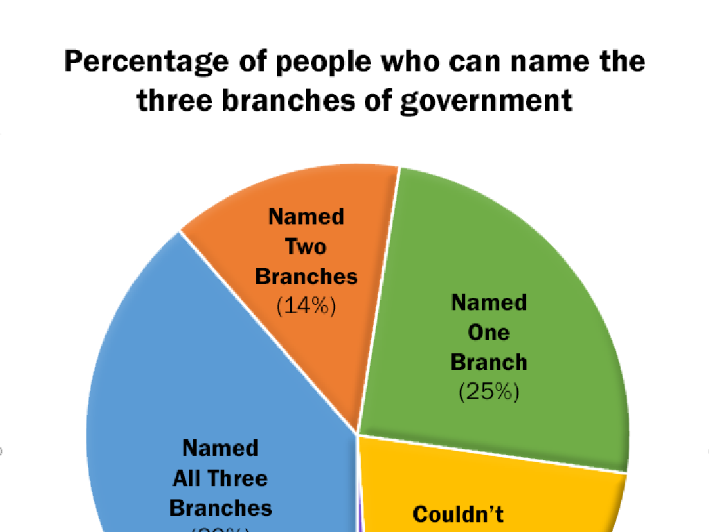 government branches chart