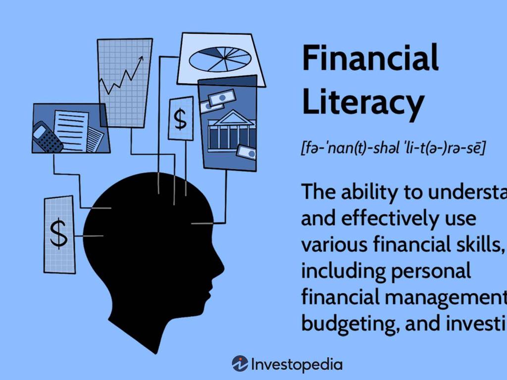 financial literacy silhouette