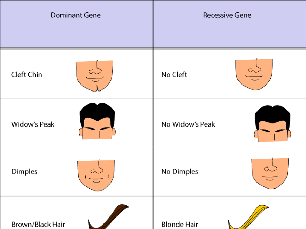 gene traits chart