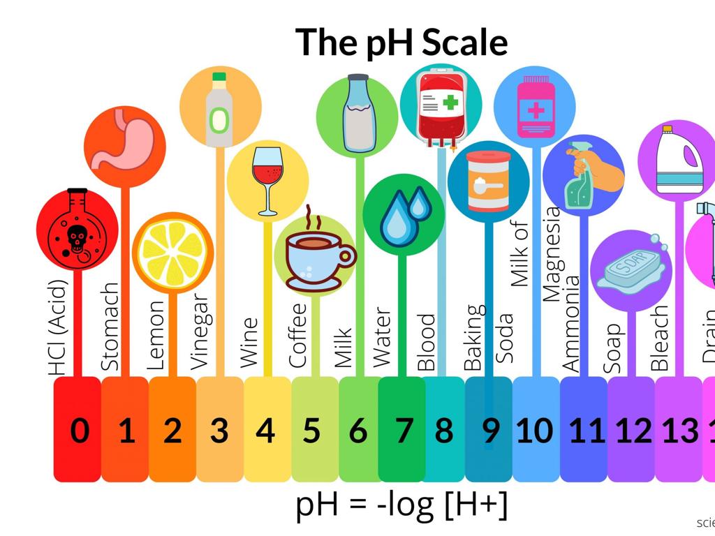 household pH scale