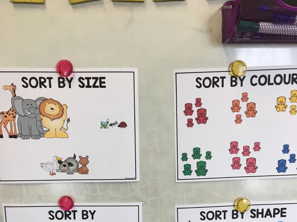 animal teddy bear sorting