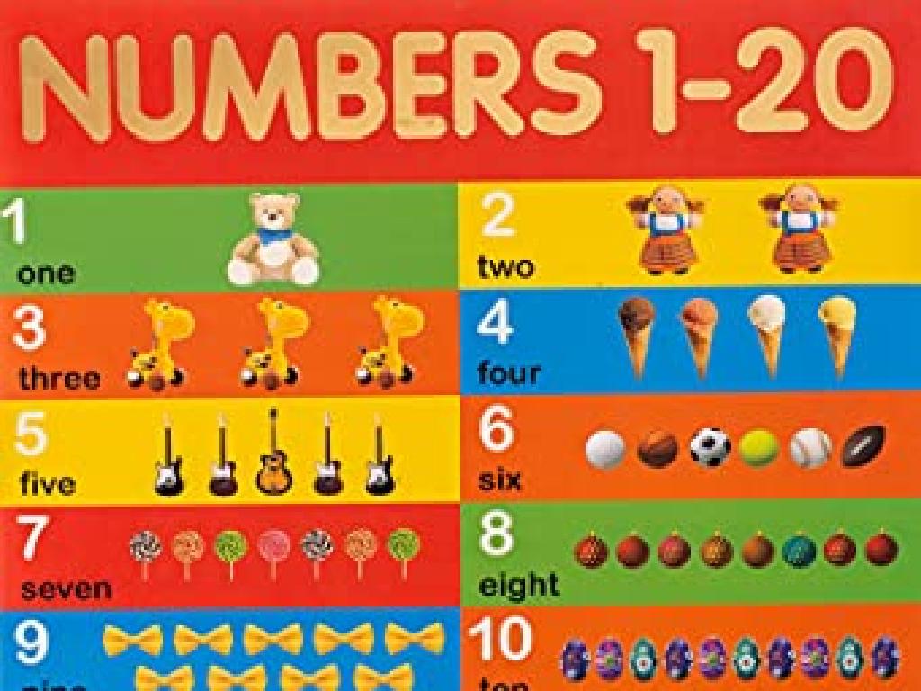 number chart illustrations