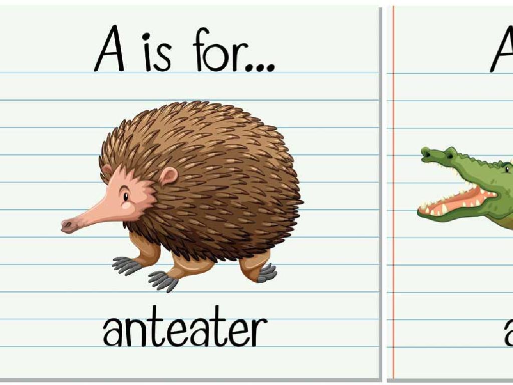 anteater alligator alphabet