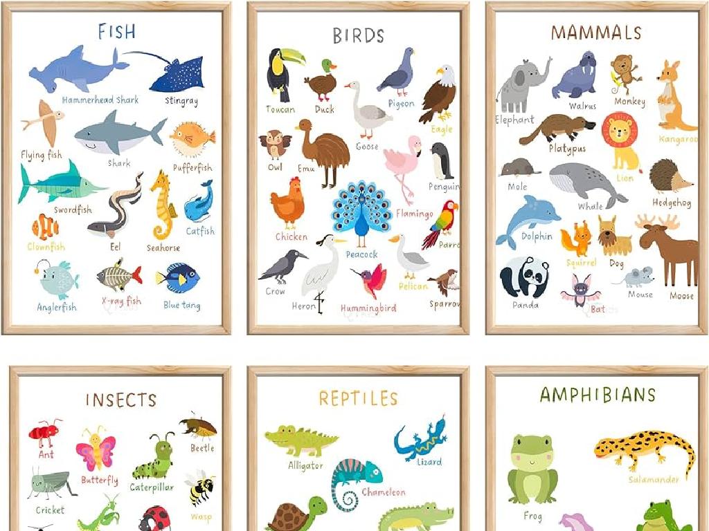 colorful animal educational posters