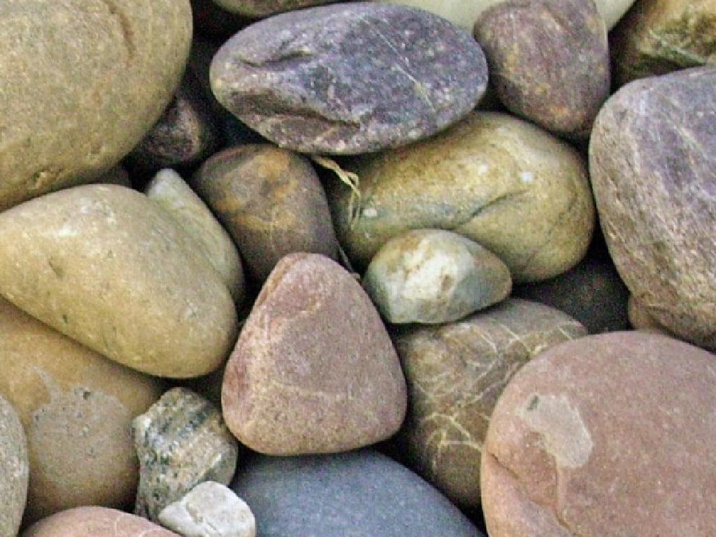 multicolored smooth pebbles