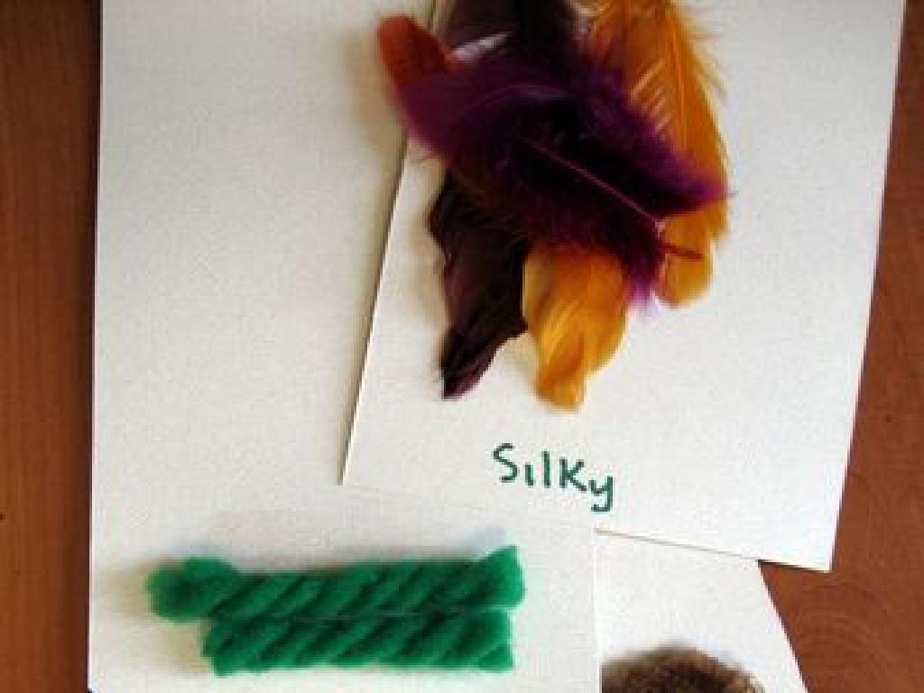 colorful feathers cotton