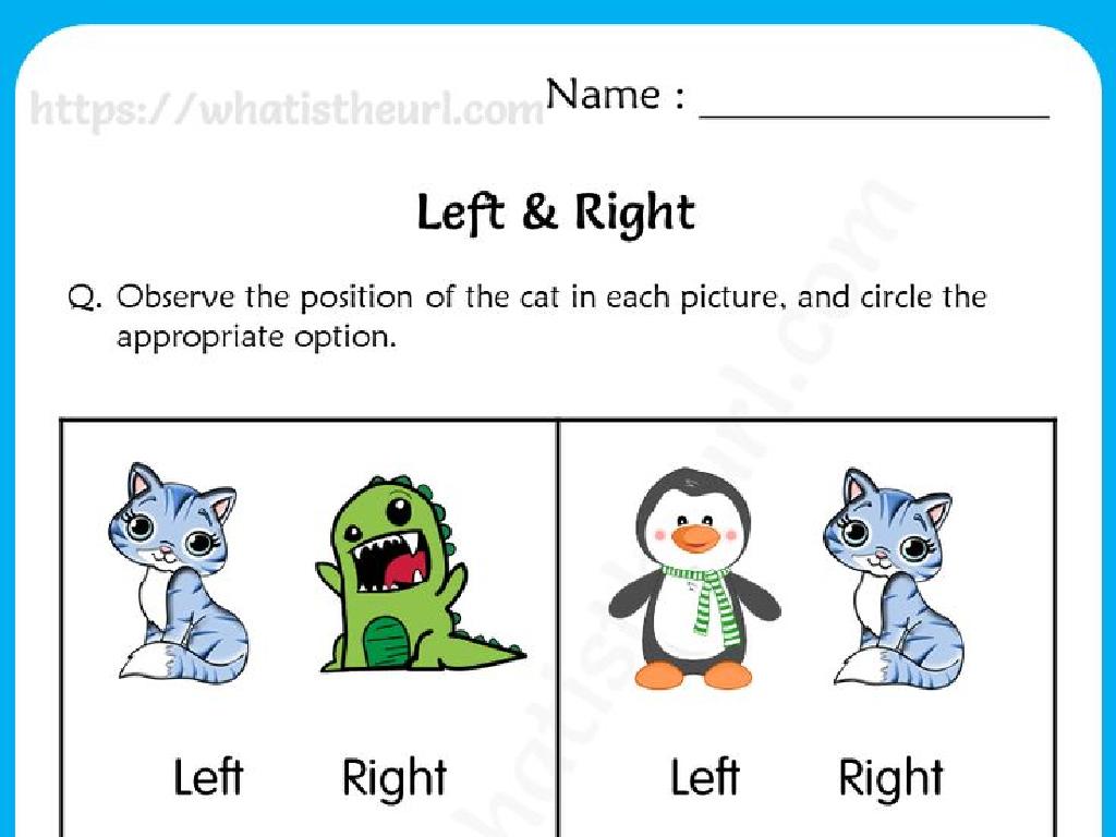 cat position worksheet