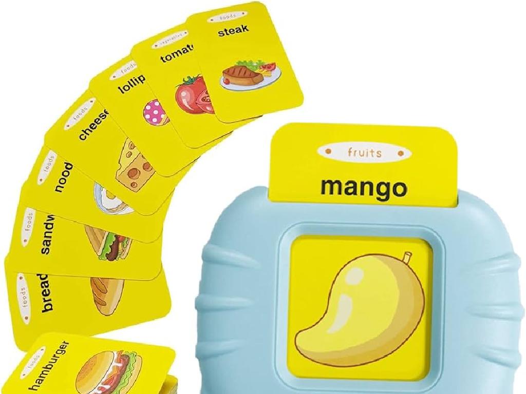 food flashcards toy screen