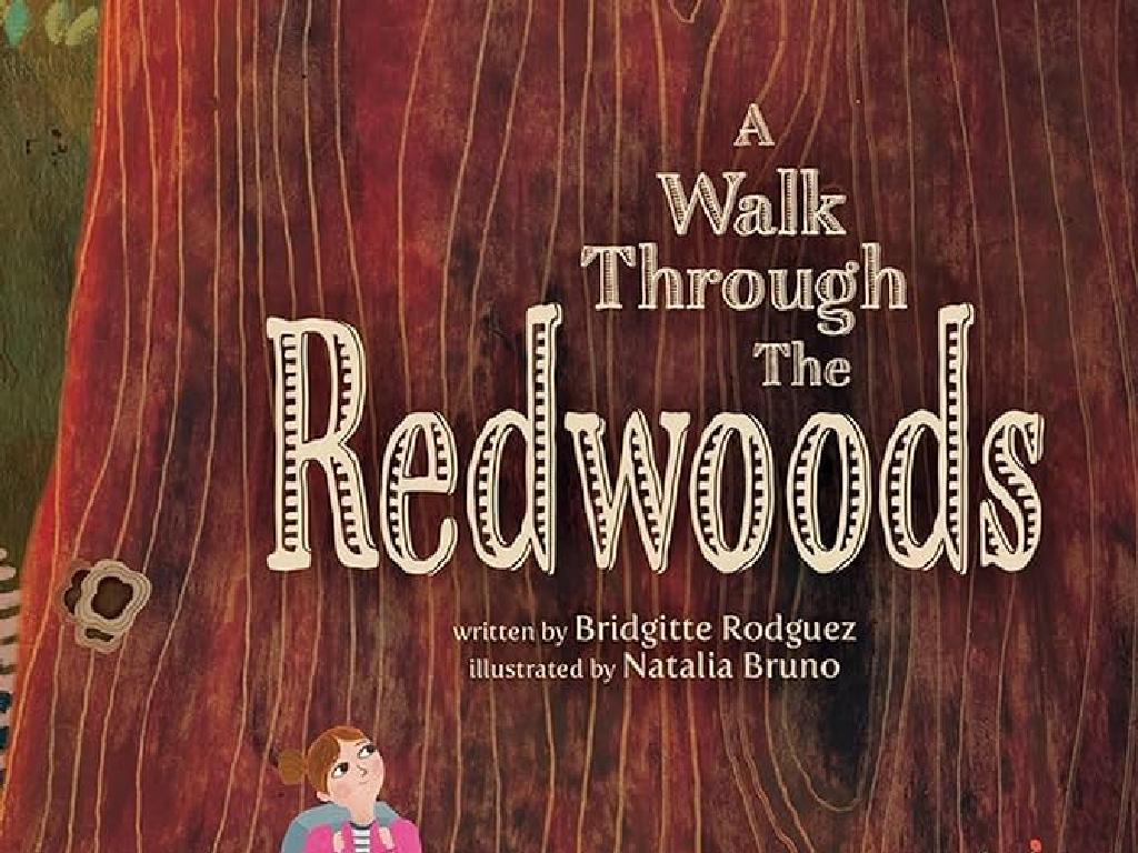 redwood forest walk