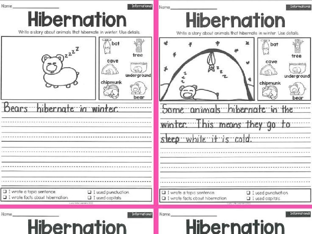 bear hibernation worksheets