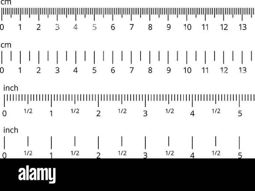 centimeter inch rulers