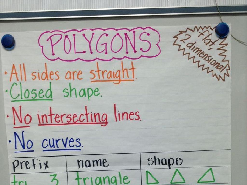 polygon rules shapes