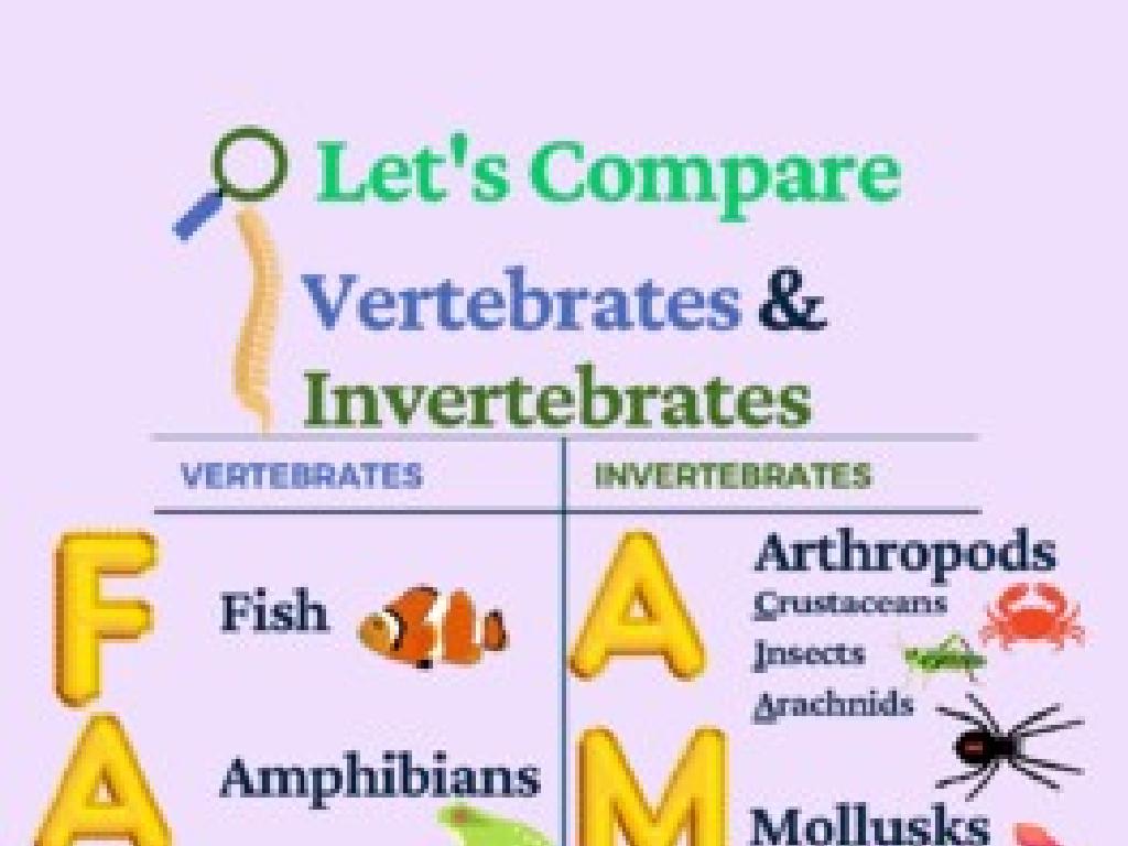 vertebrates vs invertebrates