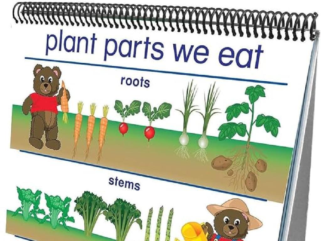 plant parts food chart