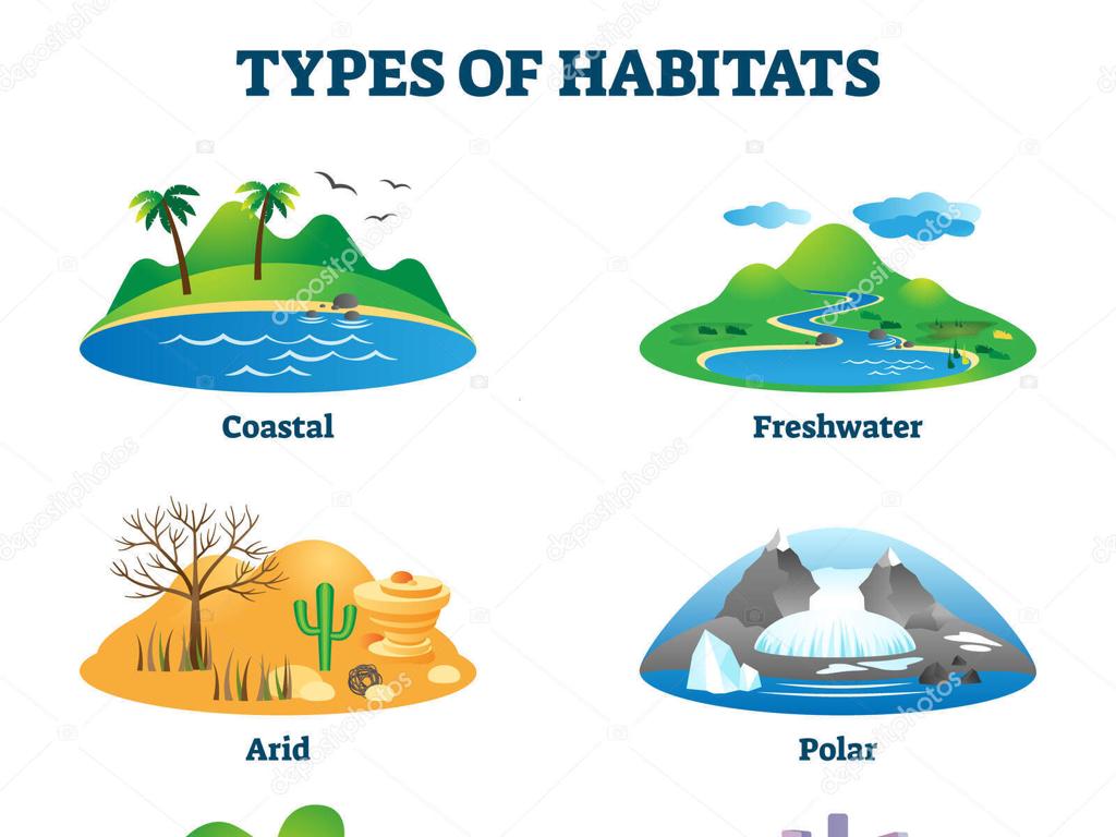 coastal freshwater habitats