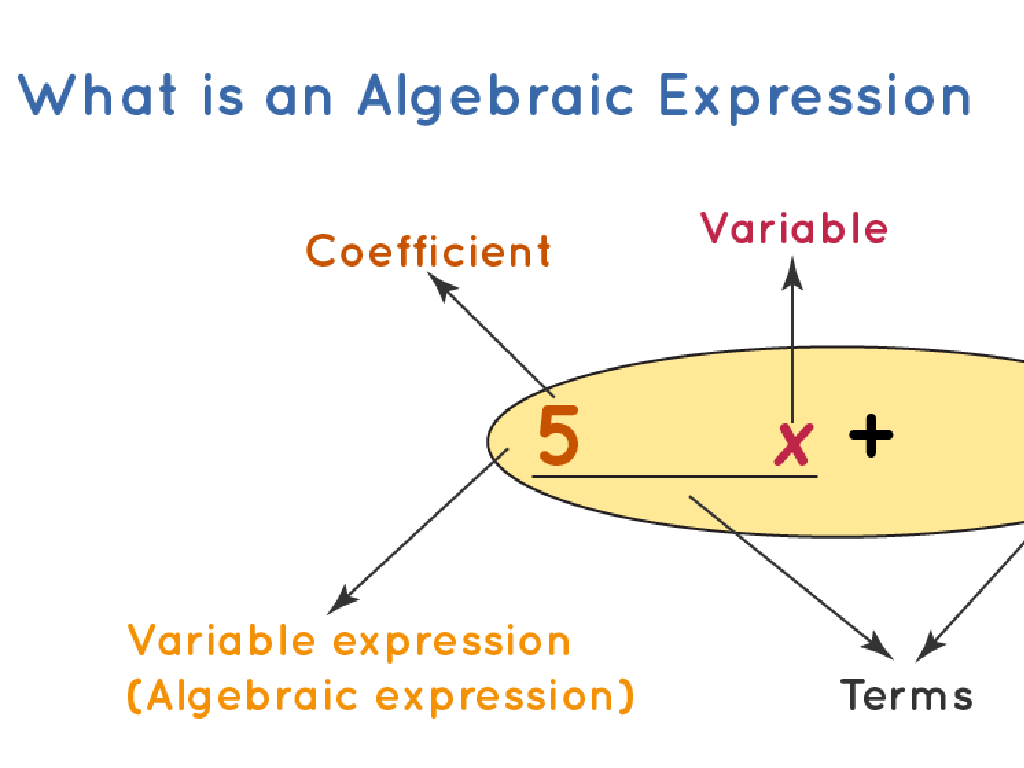 algebraic expression components