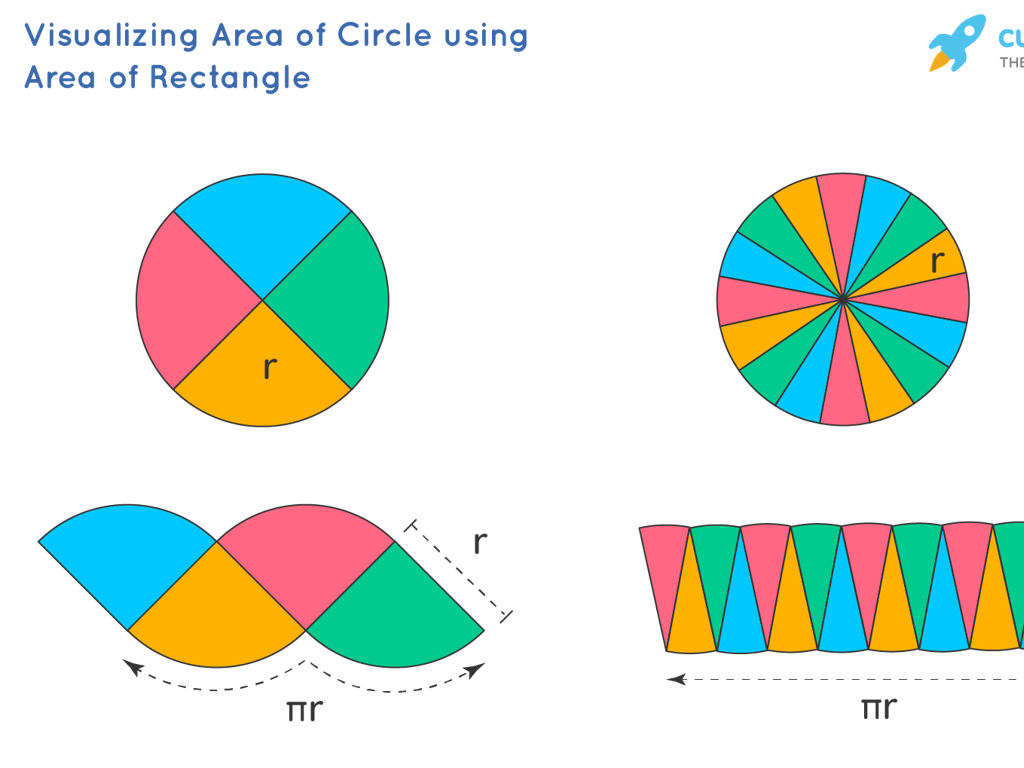 circle area visualization