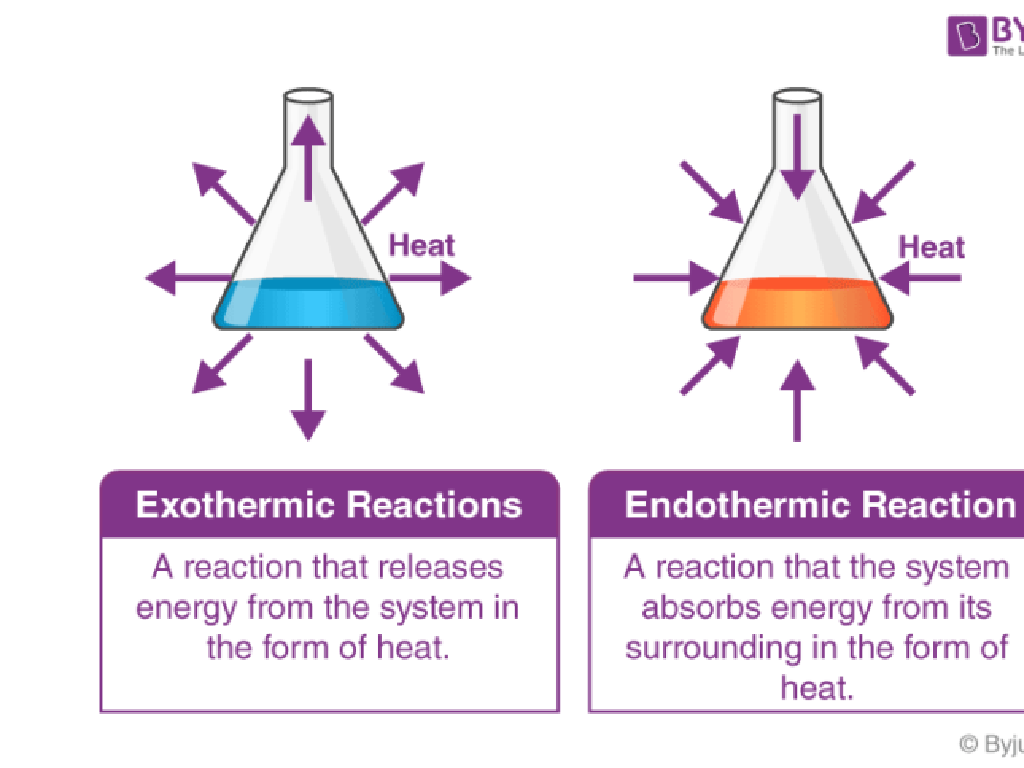 exothermic endothermic reactions