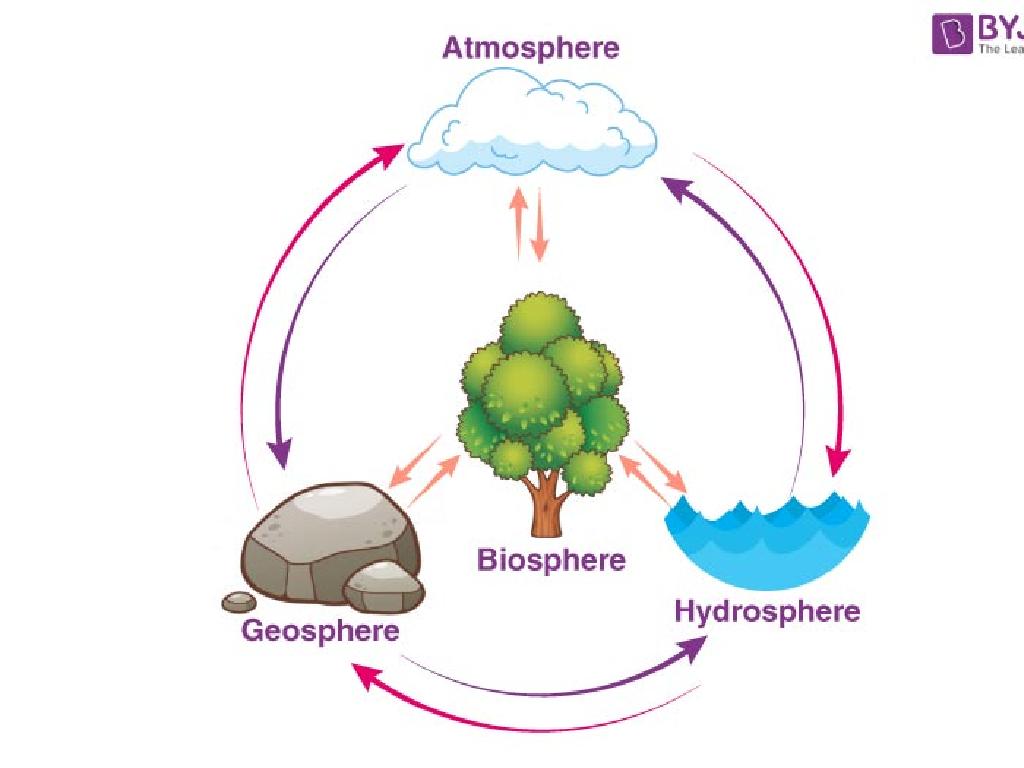 earth system interactions