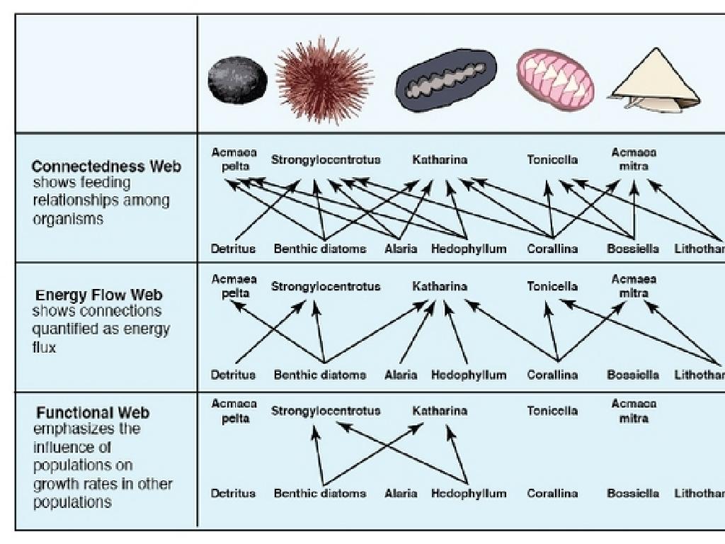 ecological web types