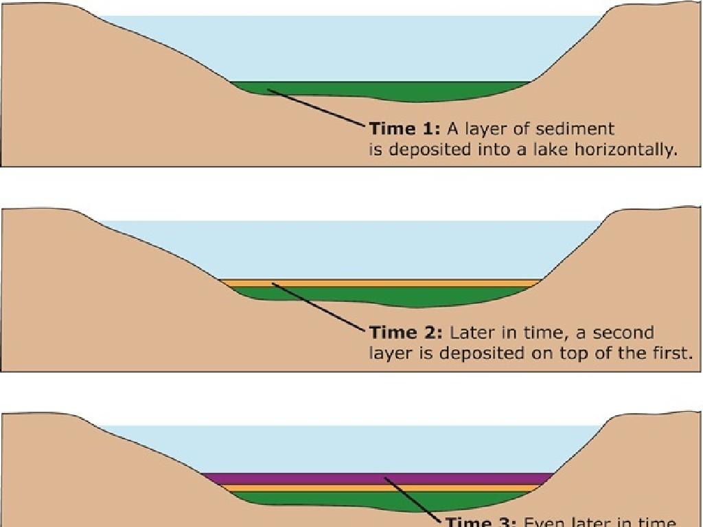 sediment layers formation