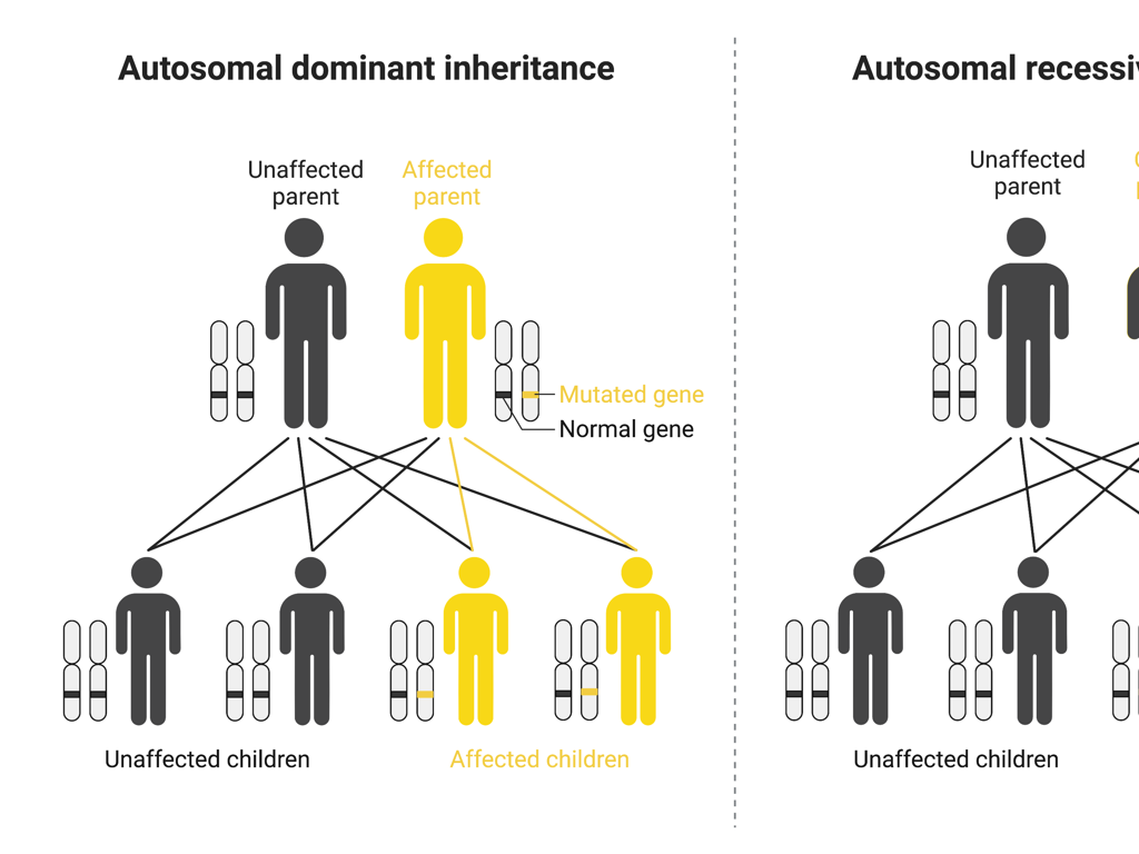 autosomal inheritance pattern