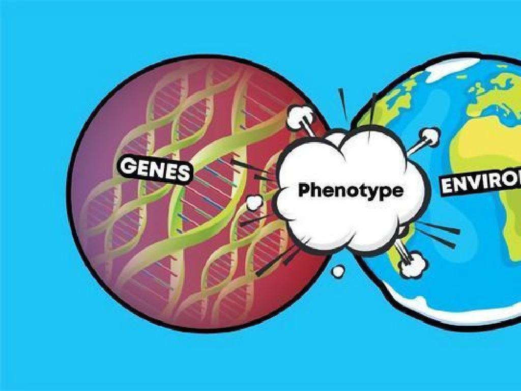 genes environment phenotype