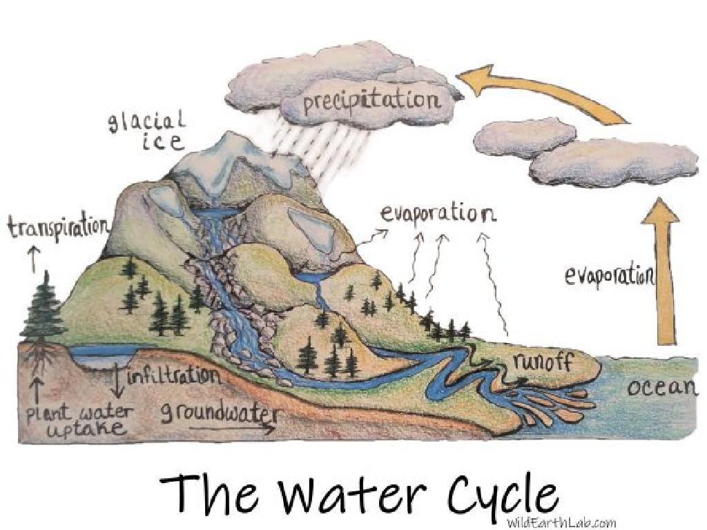 water cycle diagram