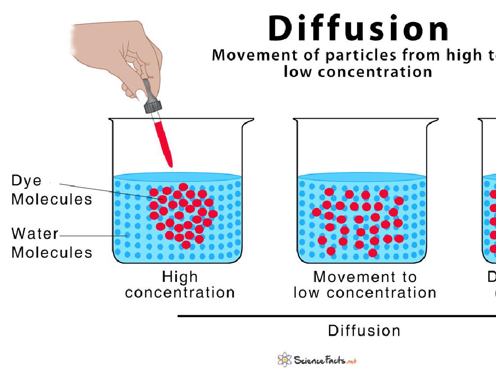 red dye diffusion