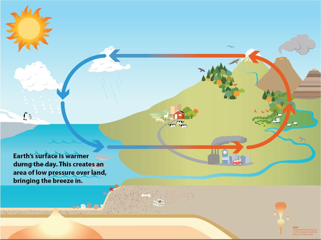 wind weather patterns