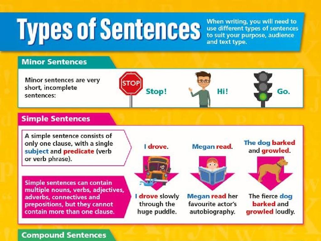 types of sentences infographic