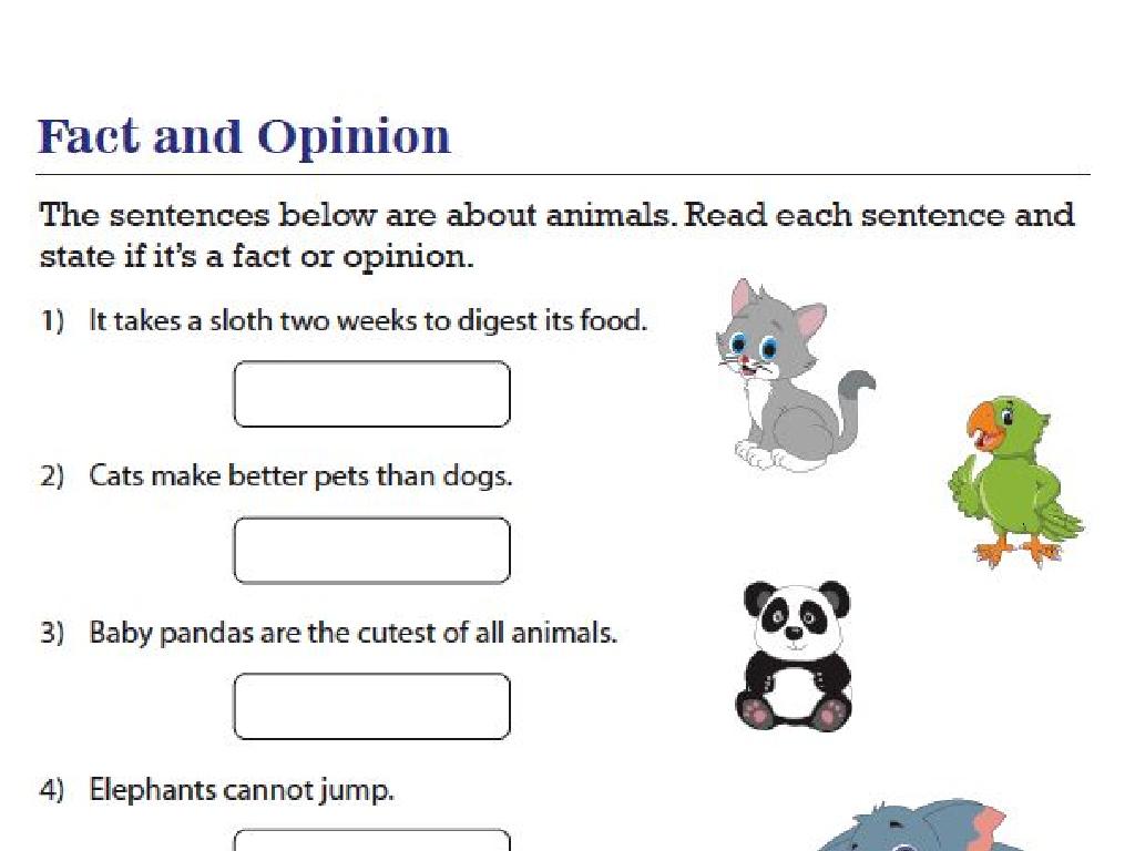 animal fact opinion worksheet