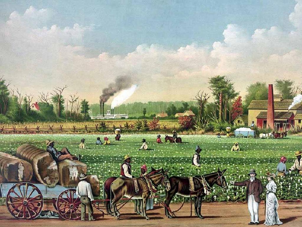 cotton field workers