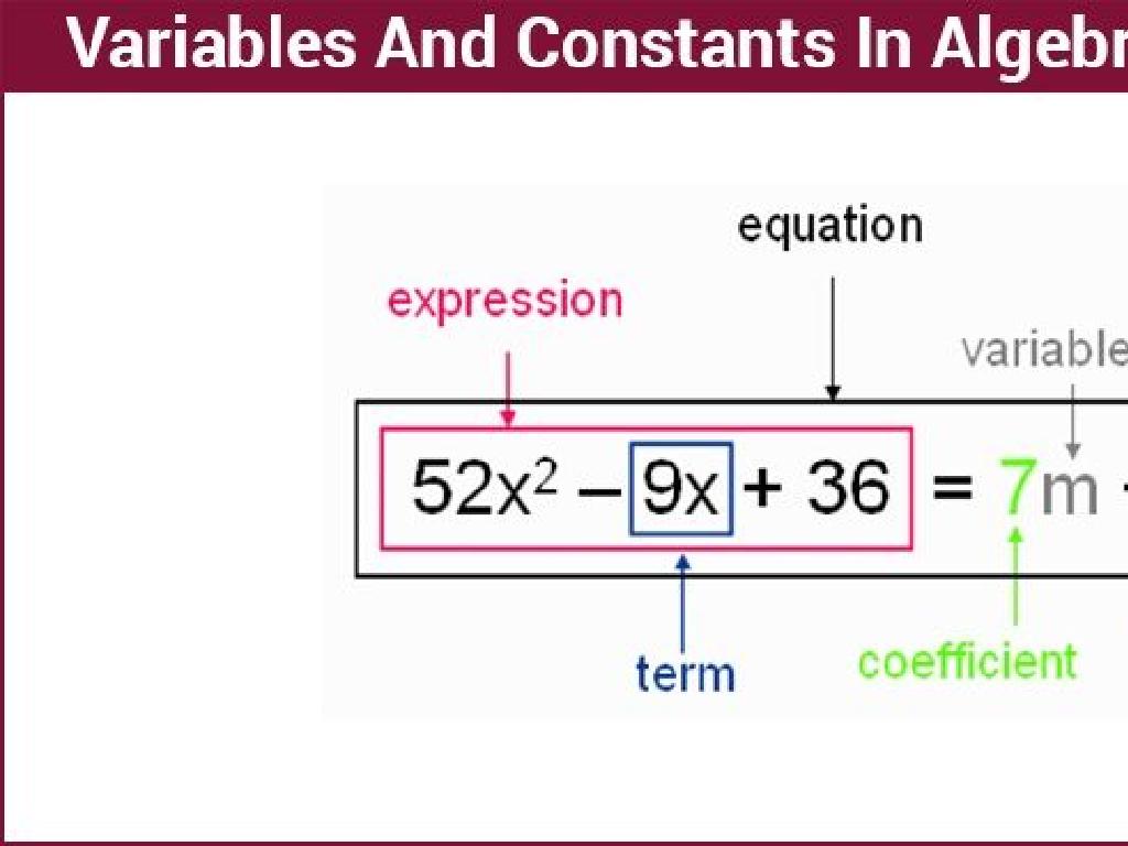 algebraic equation variables