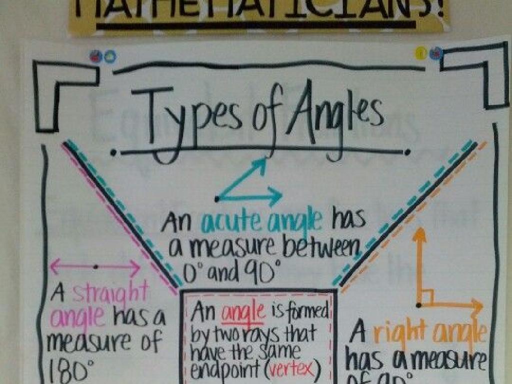 types of angles