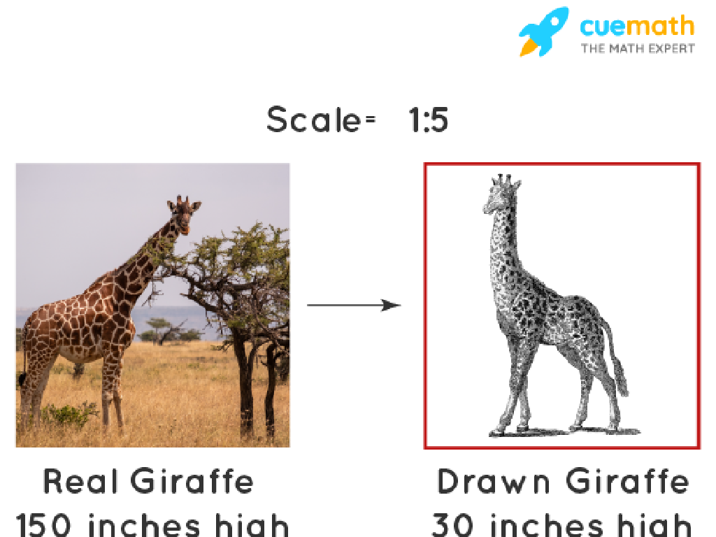 giraffe size comparison