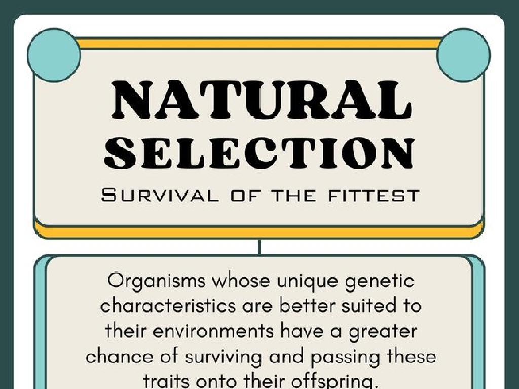 natural selection infographic