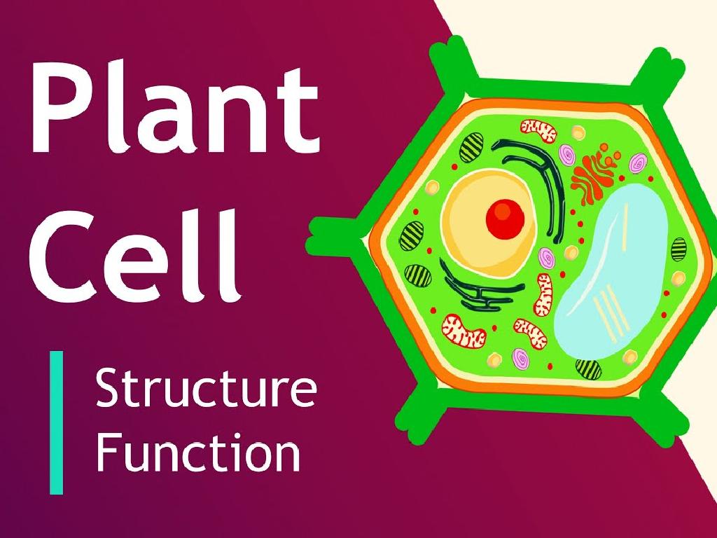 plant cell structure