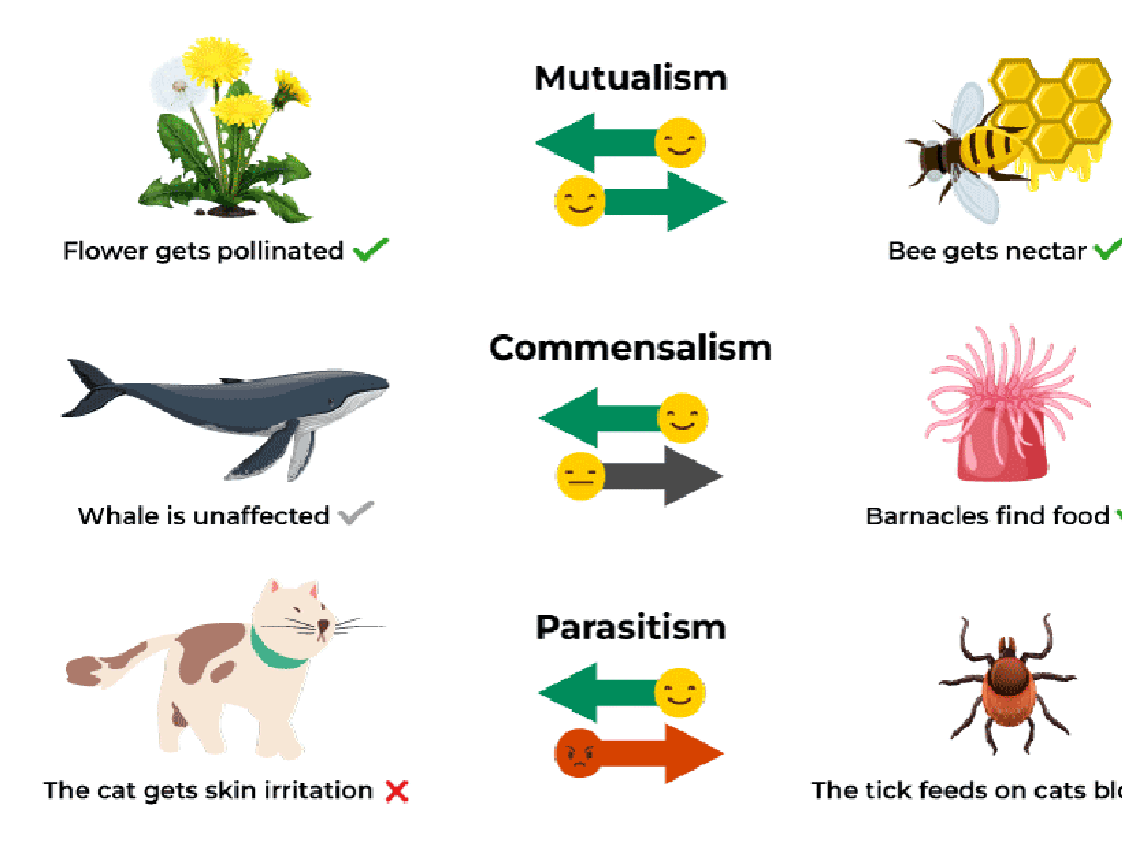 mutualism commensalism parasitism