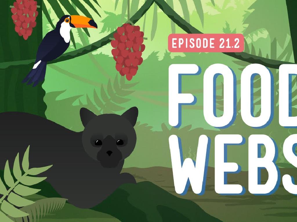 toucan jungle food webs