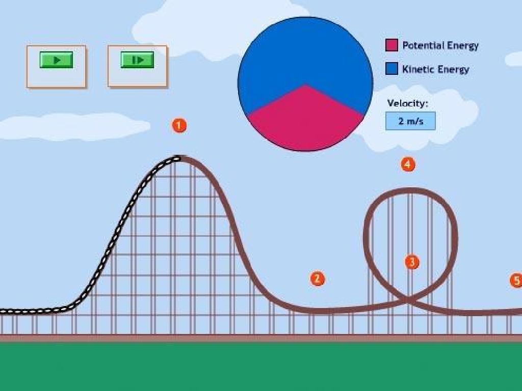 roller coaster energy chart