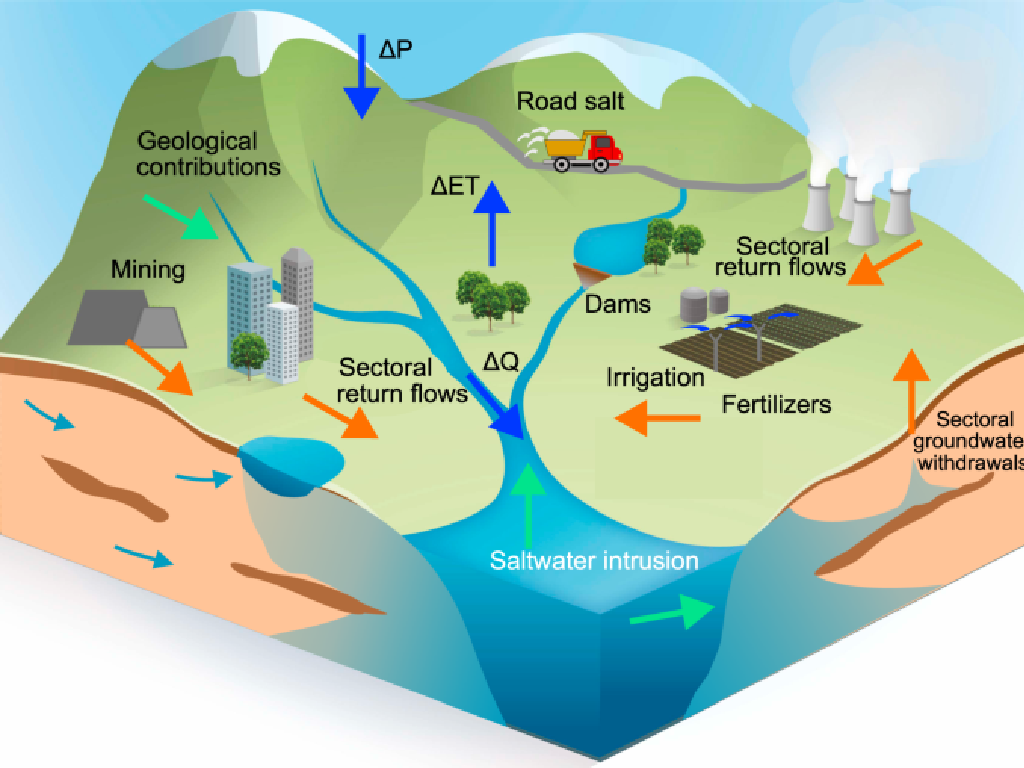 water cycle contributions