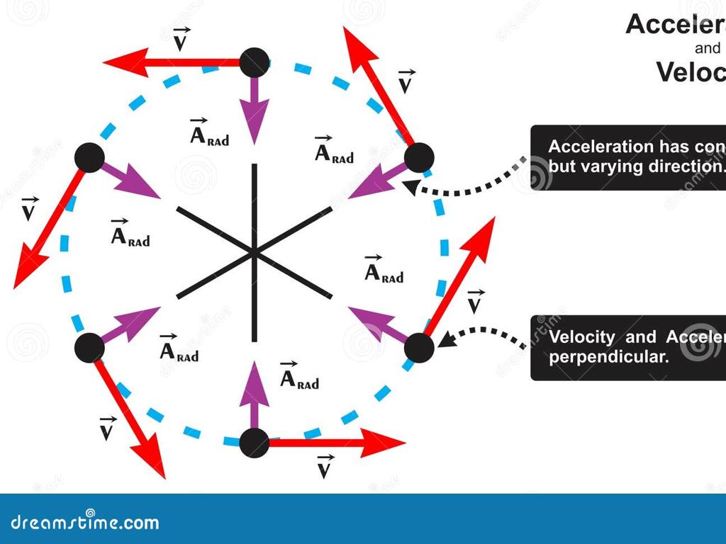 circular motion vectors