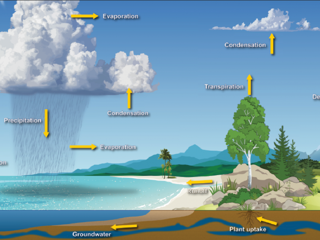 water cycle process